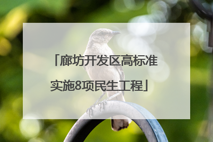 廊坊开发区高标准实施8项民生工程