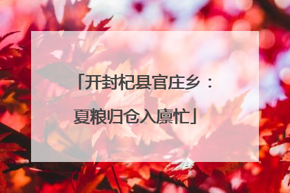 开封杞县官庄乡：夏粮归仓入廪忙