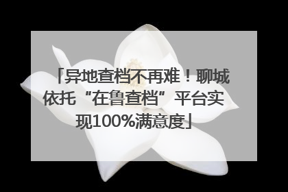 异地查档不再难！聊城依托“在鲁查档”平台实现100%满意度