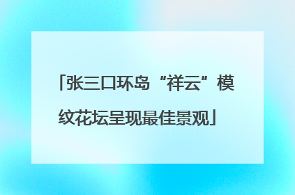 张三口环岛“祥云”模纹花坛呈现最佳景观