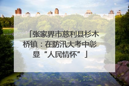 张家界市慈利县杉木桥镇：在防汛大考中彰显“人民情怀”
