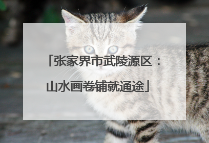 张家界市武陵源区：山水画卷铺就通途