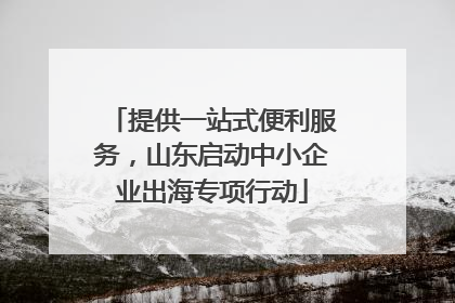 提供一站式便利服务，山东启动中小企业出海专项行动