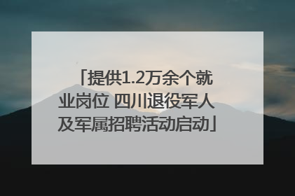 提供1.2万余个就业岗位 四川退役军人及军属招聘活动启动