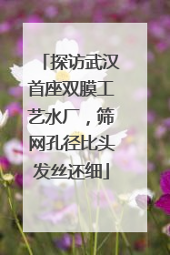 探访武汉首座双膜工艺水厂，筛网孔径比头发丝还细