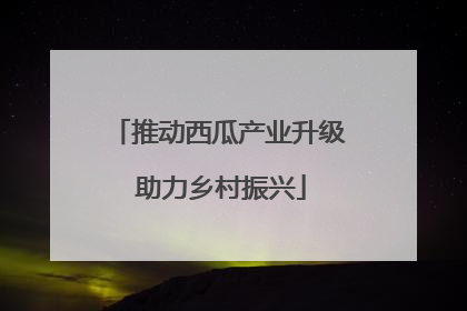 推动西瓜产业升级 助力乡村振兴