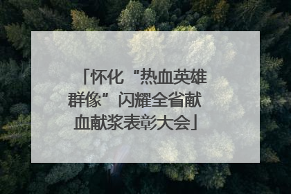 怀化“热血英雄群像”闪耀全省献血献浆表彰大会