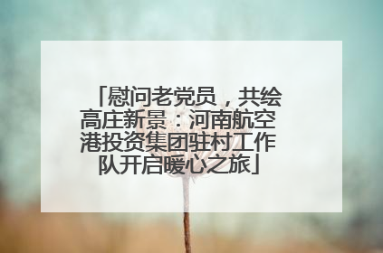 慰问老党员，共绘高庄新景：河南航空港投资集团驻村工作队开启暖心之旅