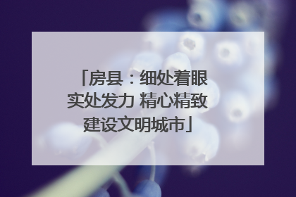 房县：细处着眼 实处发力 精心精致建设文明城市