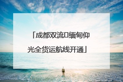 成都双流⇌缅甸仰光全货运航线开通