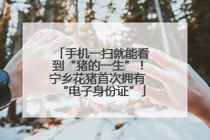 手机一扫就能看到“猪的一生”！宁乡花猪首次拥有“电子身份证”