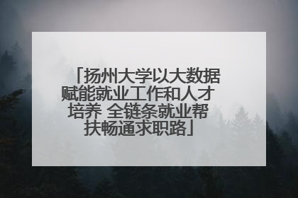 扬州大学以大数据赋能就业工作和人才培养 全链条就业帮扶畅通求职路