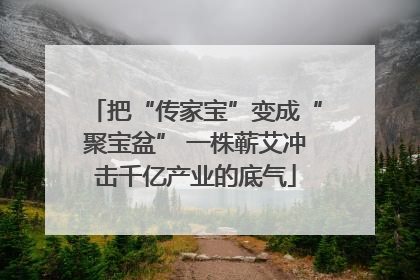 把“传家宝”变成“聚宝盆” 一株蕲艾冲击千亿产业的底气