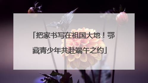 把家书写在祖国大地！鄂藏青少年共赴端午之约