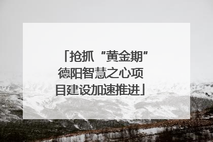 抢抓“黄金期” 德阳智慧之心项目建设加速推进