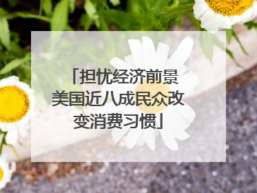 担忧经济前景 美国近八成民众改变消费习惯