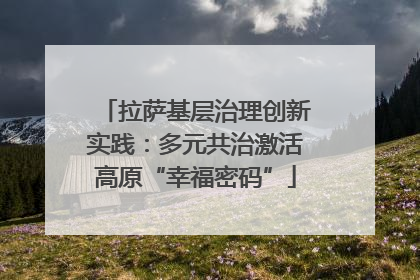 拉萨基层治理创新实践：多元共治激活高原“幸福密码”