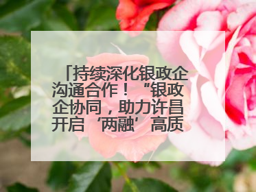 持续深化银政企沟通合作！“银政企协同，助力许昌开启‘两融’高质量发展新征程”融资对接会举行
