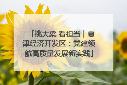 挑大梁 看担当｜夏津经济开发区：党建领航高质量发展新实践
