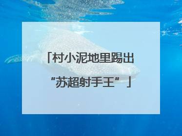 村小泥地里踢出“苏超射手王”