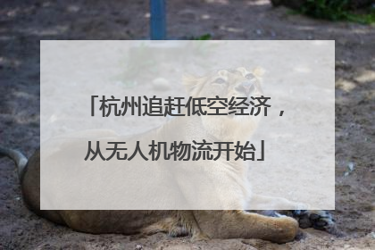杭州追赶低空经济，从无人机物流开始