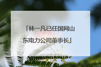 林一凡已任国网山东电力公司董事长
