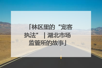 林区里的“宠客执法”｜湖北市场监管所的故事