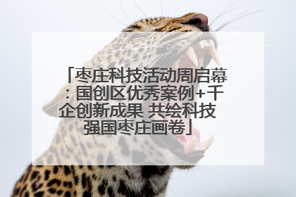 枣庄科技活动周启幕：国创区优秀案例+千企创新成果 共绘科技强国枣庄画卷