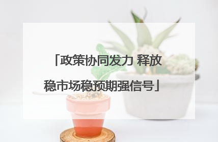 政策协同发力 释放稳市场稳预期强信号