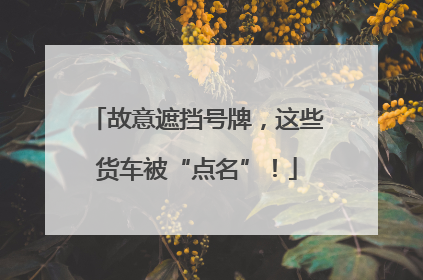 故意遮挡号牌，这些货车被“点名”！
