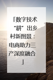 数字技术“耕”出乡村新图景：电商助力三产深度融合