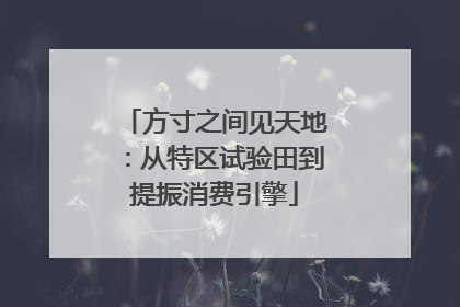 方寸之间见天地：从特区试验田到提振消费引擎