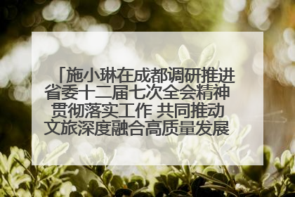 施小琳在成都调研推进省委十二届七次全会精神贯彻落实工作 共同推动文旅深度融合高质量发展 加快打造支柱产业民生产业幸福产业