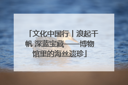 文化中国行丨浪起千帆 深蓝宝藏——博物馆里的海丝遗珍