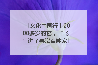 文化中国行丨2000多岁的它，“飞”进了寻常百姓家