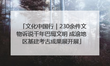 文化中国行｜230余件文物诉说千年巴蜀文明 成渝地区基建考古成果展开展
