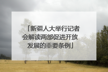 新疆人大举行记者会解读两部促进开放发展的重要条例