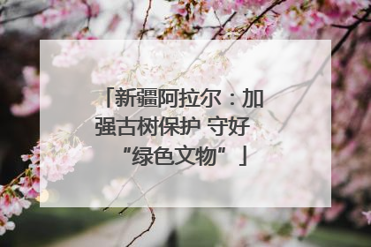 新疆阿拉尔：加强古树保护 守好“绿色文物”