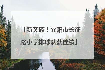 新突破！襄阳市长征路小学排球队获佳绩