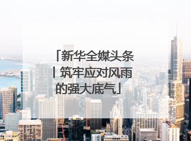 新华全媒头条丨筑牢应对风雨的强大底气