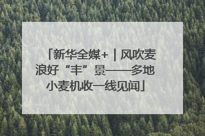 新华全媒+｜风吹麦浪好“丰”景——多地小麦机收一线见闻