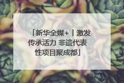 新华全媒+丨激发传承活力 非遗代表性项目聚成都