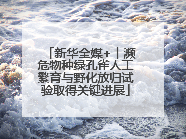 新华全媒+丨濒危物种绿孔雀人工繁育与野化放归试验取得关键进展