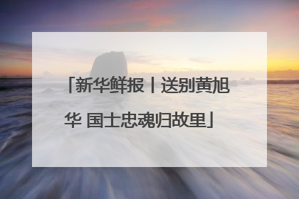 新华鲜报丨送别黄旭华 国士忠魂归故里