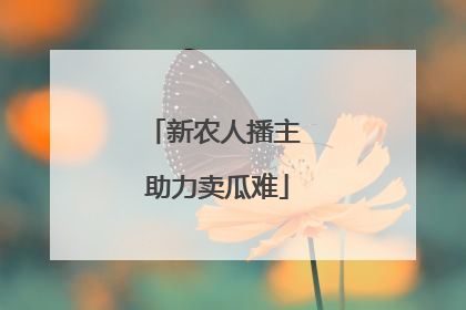 新农人播主 助力卖瓜难