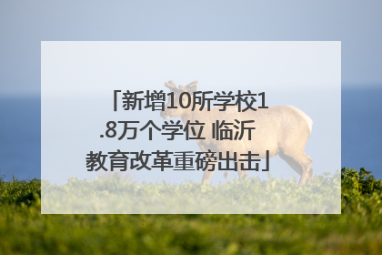 新增10所学校1.8万个学位 临沂教育改革重磅出击