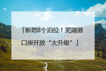 新增8个泊位！芜湖港口岸开放“大升级”