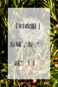 时政眼｜友城，友“诚”！