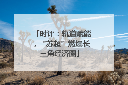 时评：轨道赋能，“苏超”燃爆长三角经济圈