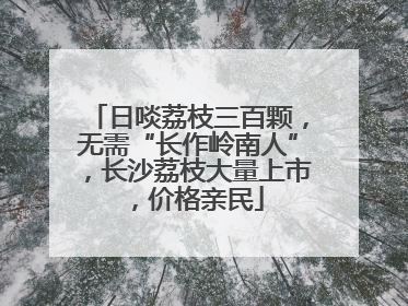 日啖荔枝三百颗，无需“长作岭南人”，长沙荔枝大量上市，价格亲民